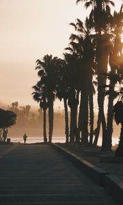 Preview wallpaper palm trees, sunset, running, silhouette