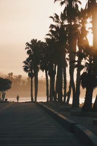 Preview wallpaper palm trees, sunset, running, silhouette