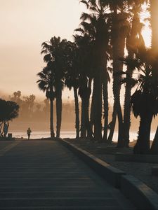 Preview wallpaper palm trees, sunset, running, silhouette