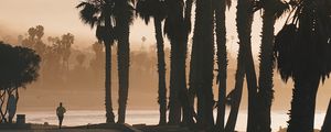 Preview wallpaper palm trees, sunset, running, silhouette