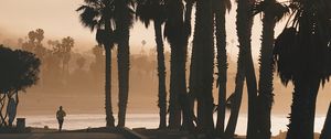 Preview wallpaper palm trees, sunset, running, silhouette