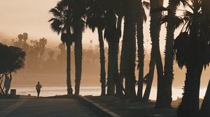 Preview wallpaper palm trees, sunset, running, silhouette