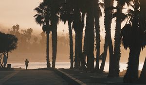 Preview wallpaper palm trees, sunset, running, silhouette