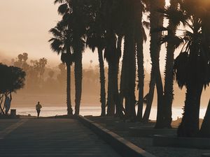 Preview wallpaper palm trees, sunset, running, silhouette