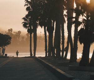 Preview wallpaper palm trees, sunset, running, silhouette