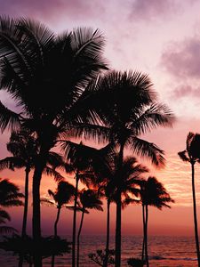 Preview wallpaper palm trees, sunset, sea