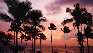 Preview wallpaper palm trees, sunset, sea