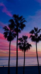 Preview wallpaper palm trees, sunset, silhouette, horizon