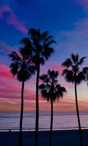 Preview wallpaper palm trees, sunset, silhouette, horizon