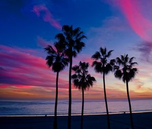 Preview wallpaper palm trees, sunset, silhouette, horizon