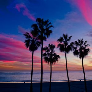 Preview wallpaper palm trees, sunset, silhouette, horizon