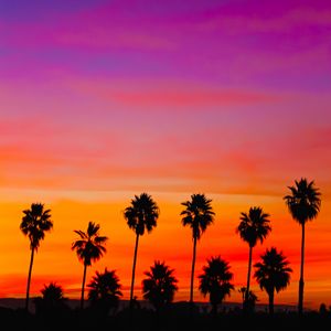 Preview wallpaper palm trees, sunset, silhouette, sky