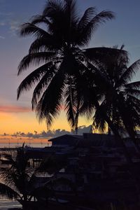 Preview wallpaper palm trees, sunset, tropics, horizon, ocean