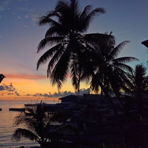 Preview wallpaper palm trees, sunset, tropics, horizon, ocean