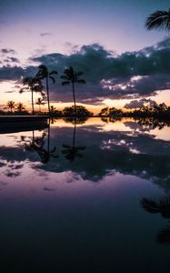 Preview wallpaper palm trees, sunset, water, reflection