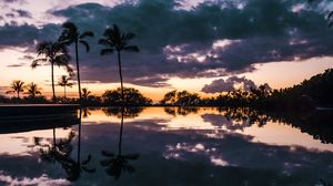 Preview wallpaper palm trees, sunset, water, reflection