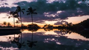 Preview wallpaper palm trees, sunset, water, reflection