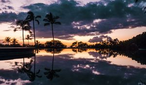 Preview wallpaper palm trees, sunset, water, reflection