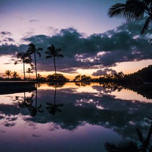 Preview wallpaper palm trees, sunset, water, reflection