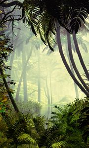 Preview wallpaper palm trees, trees, jungle, fog