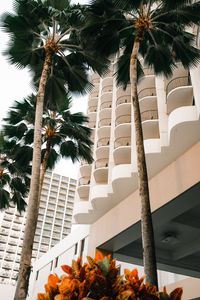 Preview wallpaper palm trees, trees, plants, buildings