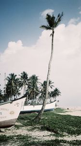 Preview wallpaper palm trees, tropics, boats, sea