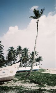 Preview wallpaper palm trees, tropics, boats, sea