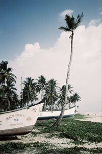 Preview wallpaper palm trees, tropics, boats, sea