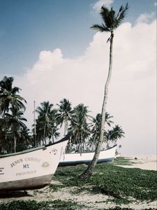 Preview wallpaper palm trees, tropics, boats, sea