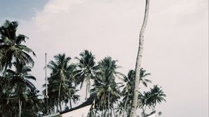 Preview wallpaper palm trees, tropics, boats, sea