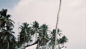 Preview wallpaper palm trees, tropics, boats, sea