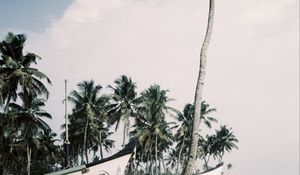 Preview wallpaper palm trees, tropics, boats, sea