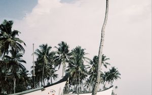 Preview wallpaper palm trees, tropics, boats, sea