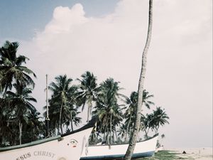 Preview wallpaper palm trees, tropics, boats, sea