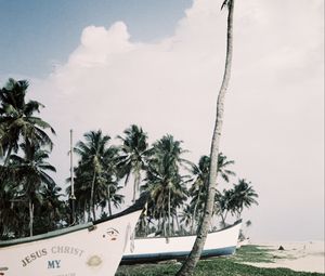 Preview wallpaper palm trees, tropics, boats, sea