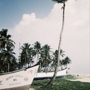 Preview wallpaper palm trees, tropics, boats, sea