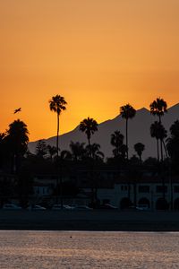 Preview wallpaper palm trees, tropics, sea, silhouettes, evening