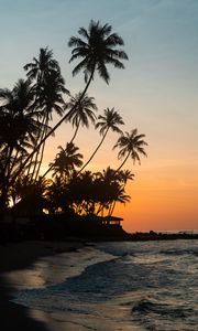 Preview wallpaper palm trees, tropics, sea, beach, bungalow