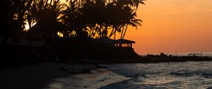 Preview wallpaper palm trees, tropics, sea, beach, bungalow