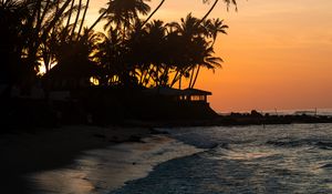 Preview wallpaper palm trees, tropics, sea, beach, bungalow