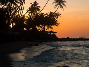 Preview wallpaper palm trees, tropics, sea, beach, bungalow