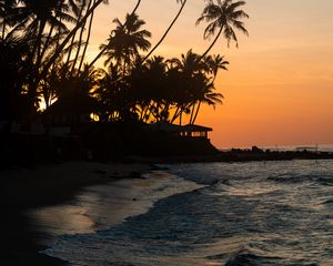 Preview wallpaper palm trees, tropics, sea, beach, bungalow