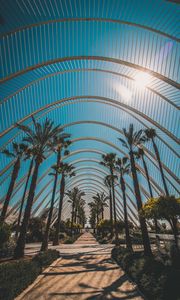 Preview wallpaper palm trees, tropics, sunlight, architecture, construction