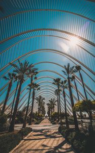 Preview wallpaper palm trees, tropics, sunlight, architecture, construction