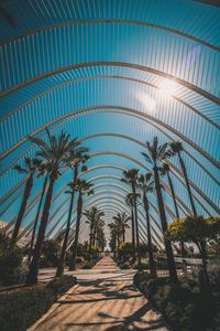 Preview wallpaper palm trees, tropics, sunlight, architecture, construction