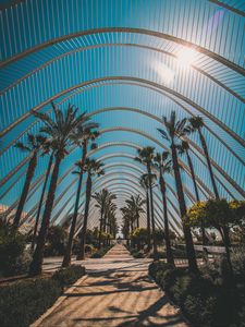 Preview wallpaper palm trees, tropics, sunlight, architecture, construction