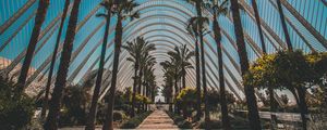 Preview wallpaper palm trees, tropics, sunlight, architecture, construction