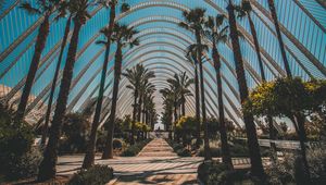 Preview wallpaper palm trees, tropics, sunlight, architecture, construction