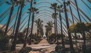 Preview wallpaper palm trees, tropics, sunlight, architecture, construction