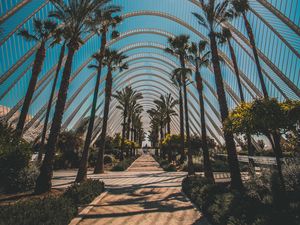 Preview wallpaper palm trees, tropics, sunlight, architecture, construction